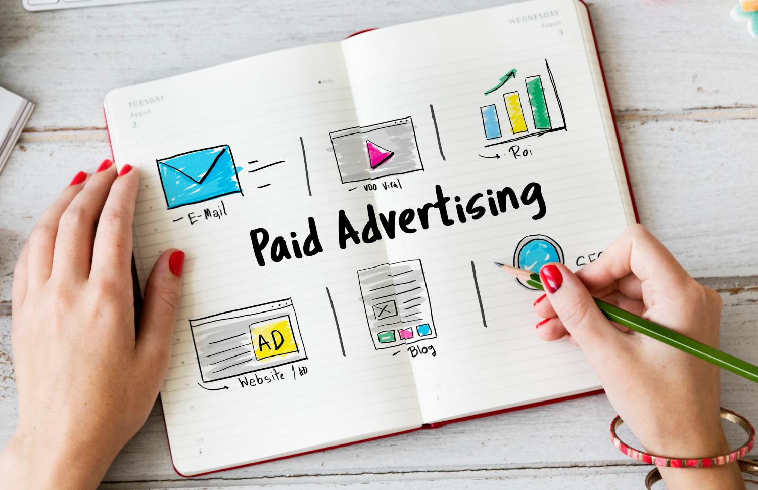 Paid Advertising — Meta or TikTok