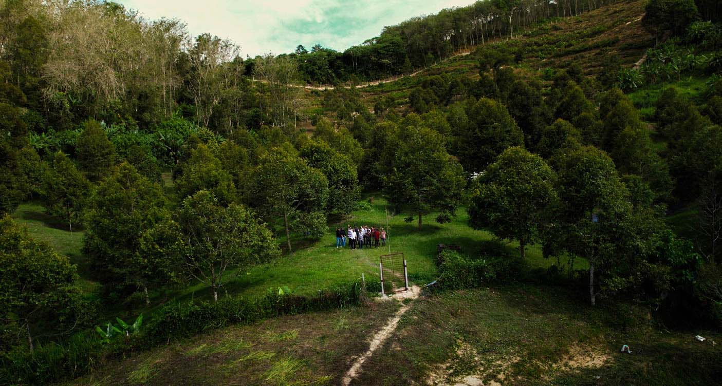 Team visiting a plantation site